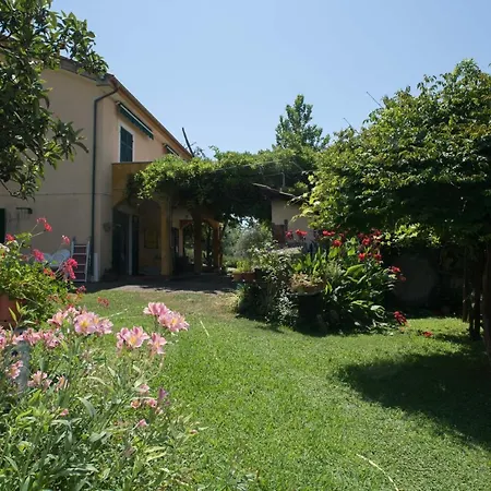 B&B La casa dei gelsi-3